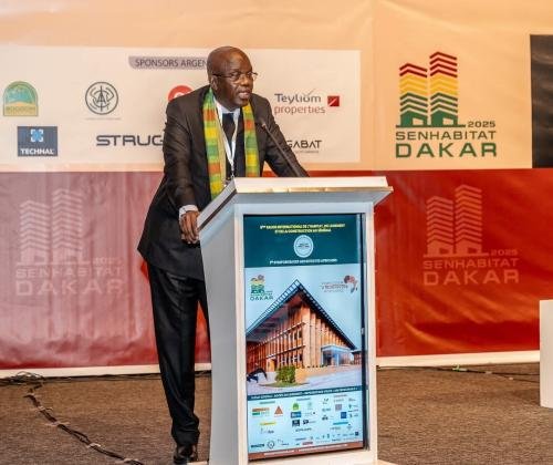 Panel 1 – Repenser les villes africaines pour une perspective durable